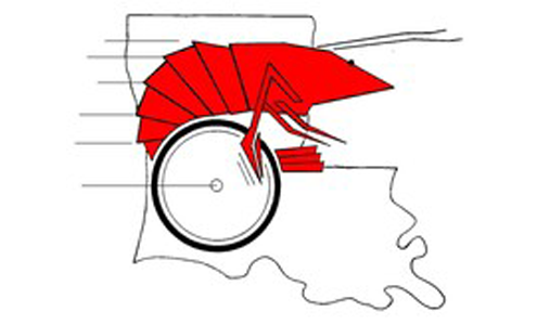 Louisiana GUMBO Inc logo